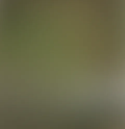 A woman crouching in a sunlit garden, holding a toddler in a white outfit, while a fluffy dog stands nearby.