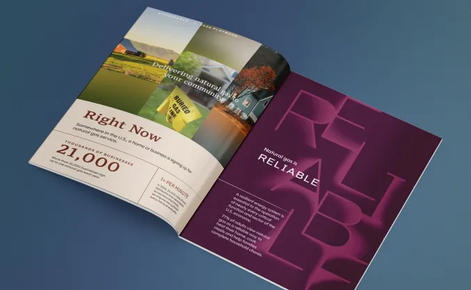 Print version of AGA Playbook