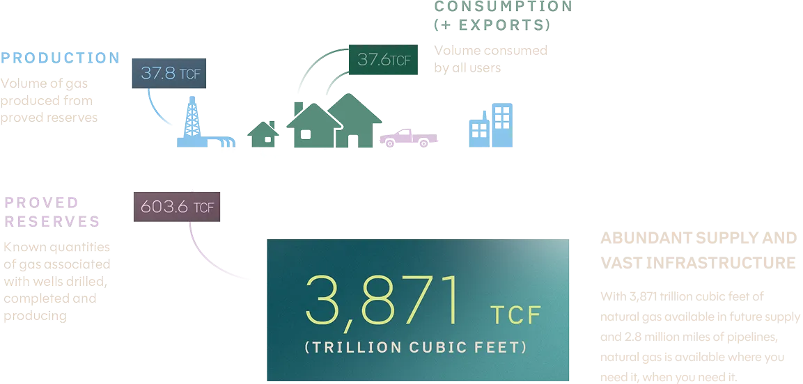 Natural gas supply chain web