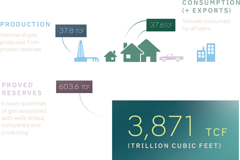 Natural gas supply chain web